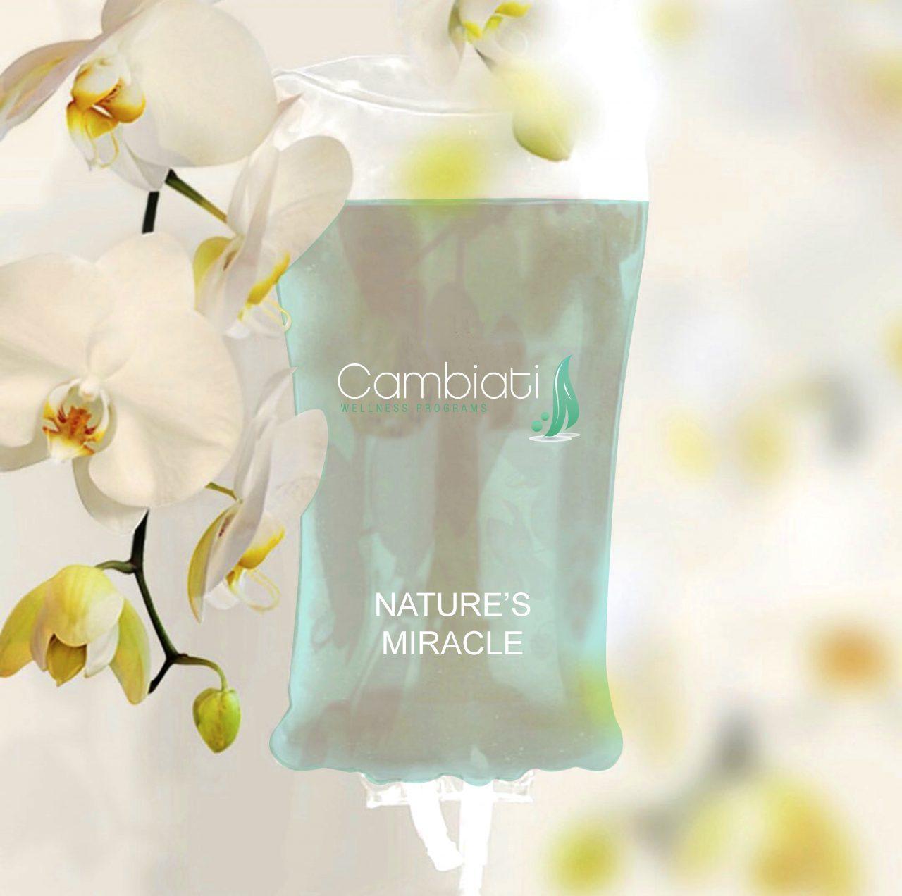 Nature's Miracle IV Drip Therapy Cambiati Wellness & Weight Loss