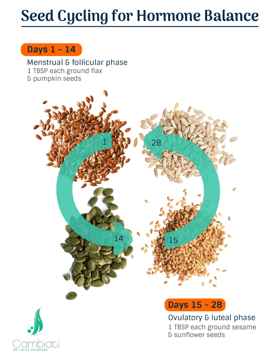 Seed Cycling Cambiati Wellness & Weight Loss Contra Costa