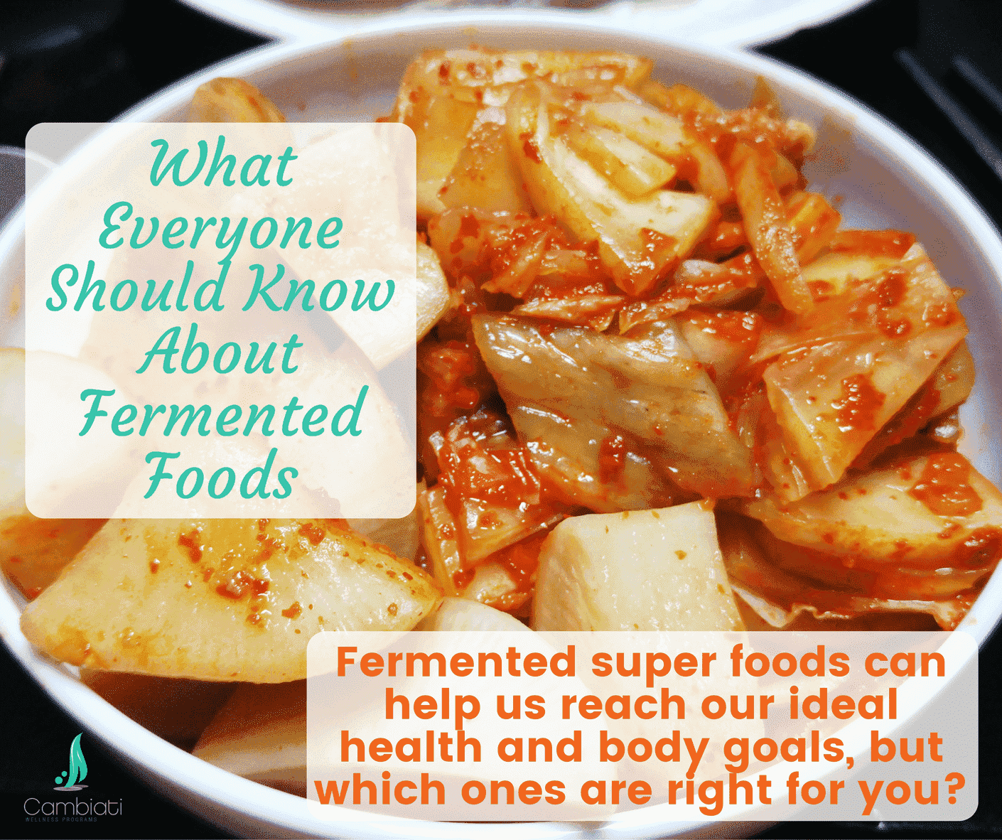 What Everyone Should Know About Fermented Foods