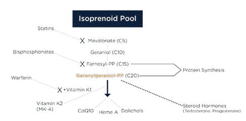 Can statin-induced myopathy be reversed?